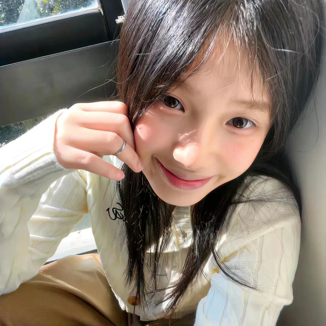 大象与小蝶物语 在线观看