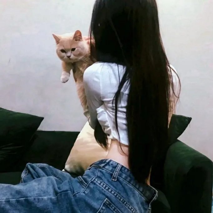 新生万喜 在线观看