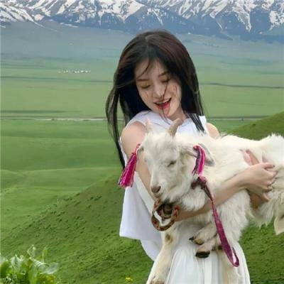 暗夜獠牙 在线观看